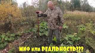 Магнитометр ГЕФЕСТ- 4... МИФ или РЕАЛЬНОСТЬ???