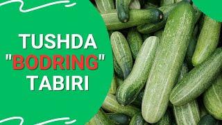 TUSHDA BODIRING TABIRI | TUSHDA BODIRING KO'RSA NIMA BO'LADI..!