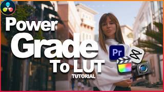 Create LUTs in DaVinci and use them in any software