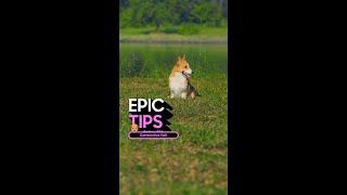 Epic Tips x Galaxy S24 Ultra: Make your pics bow WOW! | Samsung