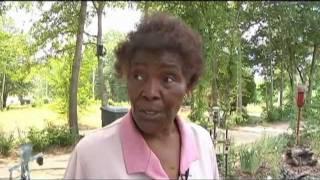 KSLA  News 12: Allendale Renewal