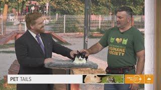 Pet Tails: Meet Emma