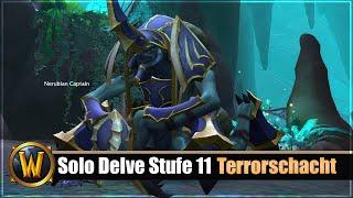 Solo Delve Stufe 11: Terrorschacht - Guardian Druide