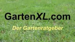 Der Gartenratgeber GartenXL.com