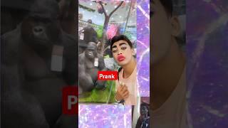 Prank On Baboon pt36#denisblack #filterprank