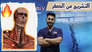 L1: Introduction to Upper limb anatomy P1 شرح بالعربي