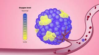 Как устроен этот мир - Романов Роман - Сirculating tumor cell