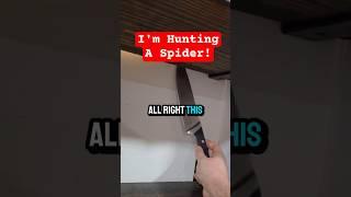This Spider Pulled A Hans Gruber | #shorts #memes #comedy