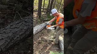 The ONLY Chainsaw You’ll Need | Stihl MSA 220 Battery Powered Chainsaw