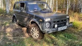 Мой заезд по болоту, адреналин на пределе!!! #нива #4x4 #offroad #тайга #сибирь #youtube