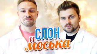 Научные Нубы - Слон и моська