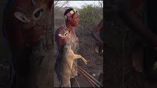 The Hadzabe tribe successfully catches a dik-dik, a small antelope in Tanzania