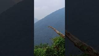 Mountains  #travel #hills #hillstation #travelvlog #ytshorts #shortsvideo #vlog #vrxbroadcast #vrx