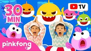 [Best of the Best] Dance-Along Series for Kids | Baby Shark Dance | 2024 Special | Official Pinkfong