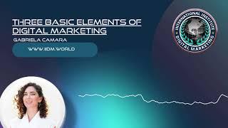 Three Basic Elements of Digital Marketing Strategy | INTERNATIONAL INSTITUTE OF DIGITAL MARKETING ™