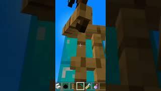 Minecraft Tiktok Hack #viral #minecraft