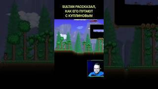 Путают с Куплиновым #sultan #султан #игры #terraria #террария #куплинов #куплиновплей #летсплей