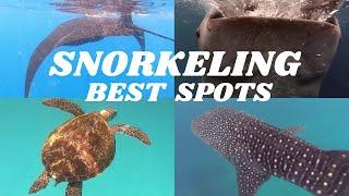 Top 5 BEST SNORKELING Spots in the WORLD-Our List.