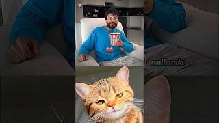Fun  #cat #meme #dance #trending