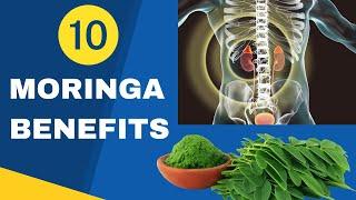 Moringa : 10 Life–Changing Moringa Health Benefits | Moringa Health Benefits