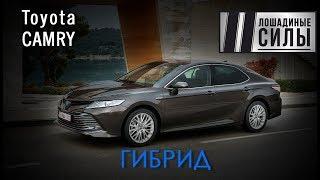 Гибриды побеждают? Первый тест Toyota Camry Hybrid 2019