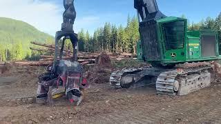 Logging Job 4