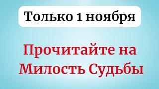 Только 1 ноября прочитайте на - Милость судьбы.