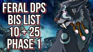 Feral DPS BIS - Phase 1 - WOTLK Classic 10 and 25 man!
