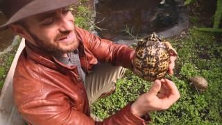 Zoo Med's Amazing Reptile Greenhouse! Kamp Kenan S3 Episode 27