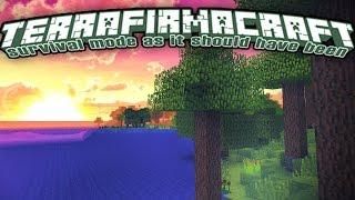 IT'S A WHOLE NEW GAME | TerraFirmaCraft Reloaded #1 | Modded Minecraft