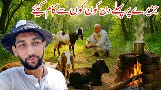 Jazeery Par Kam Start Kar Liya | Part 1