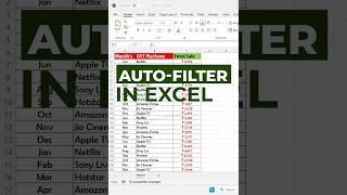 Auto Filter Hack in Excel  #ExcelTips #AutofilterExcel #DataAnalysis #edm