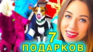 ПОДАРКИ ДЛЯ СОБАКИ ДЖИНЫ ОДЕЖДА И ЛЕЖАКИ | ПОКУПКИ ИЗ ЗООМАГАЗИНА | Elli Di Pets