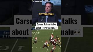 Carson Palmer talks about infamous Troy Polamalu pick 6… #steelers (@PardonMyTakePodcast)