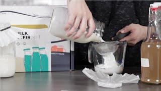 How To Maintain Your Milk Kefir Starter Grains