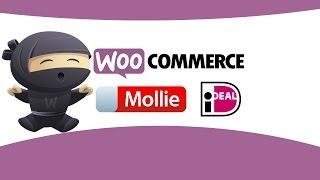 WooCommerce iDEAL Mollie plugin voor betalingen