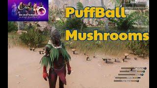 Conan Exiles beginners guide  puffball  mushrooms locations  #Boosteroid