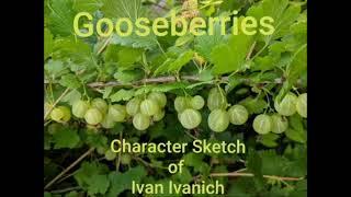 Character Sketch of Ivan Ivanich | Gooseberries  | Plus One English