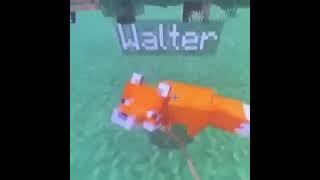 fox walter