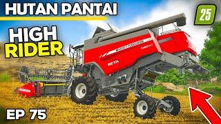 NEW HIGH RIDING COMBINE JOINS THE FARM | Farming Simulator 25 - Hutan Pantai | Episode 75