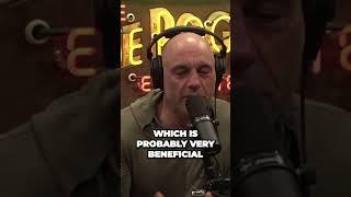 Weed & Disciplined People - Joe Rogan