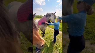 UNHINGED With The Horses  