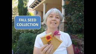 FALL SEED COLLECTION / GAILLARDIA AND CELOSIA SEED COLLECTION