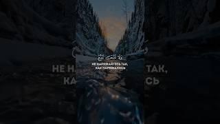 УМАР СИЛЬДИНСКИЙ - красивое чтение Корана #коран #аллахуакбар #quran