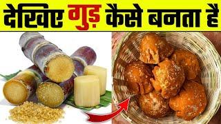 देखिए गुड़ कैसे बनता है | Gurr kaise banta hai | How jaggery are made from sugercane | Wanted TV |