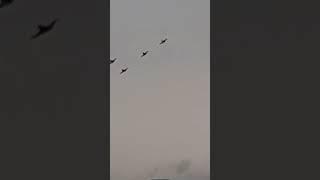 Wings Over Illawarra Air Show Roulette's