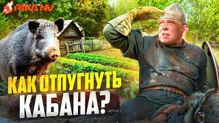 Как отпугнуть кабана? Евгений Степанов про важную тему - как прогнать дикого зверя!