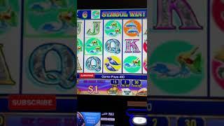 Keep Those Twin Win Line Hits Comin' | Sweet Hit on Twin Win Slot Machine #shorts
