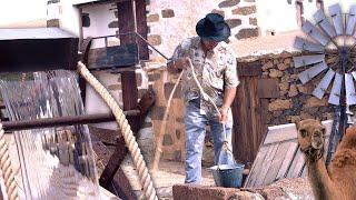 El AGUA en una isla sin lluvia. Técnicas para su búsqueda, uso de camellos y los riegos | Documental