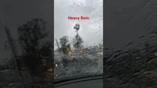 Heavy Rain#rainsounds